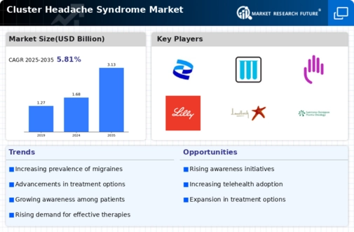 Cluster Headache Syndrome Market Infographic