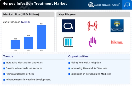Herpes Infection Treatment Market Infographic