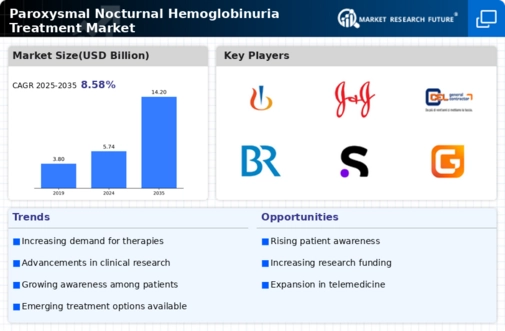 Paroxysmal Nocturnal Hemoglobinuria Treatment Market Infographic