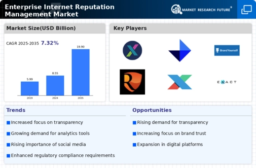 Enterprise Internet Reputation Management Market Infographic