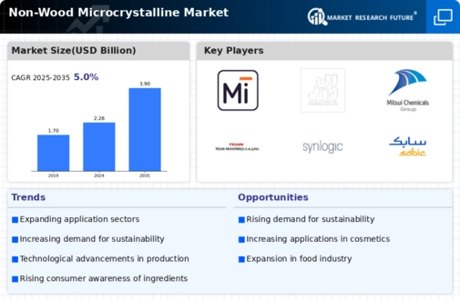 Non-Wood Microcrystalline Market Infographic