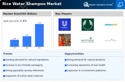 Rice Water Shampoo Market
 Infographic