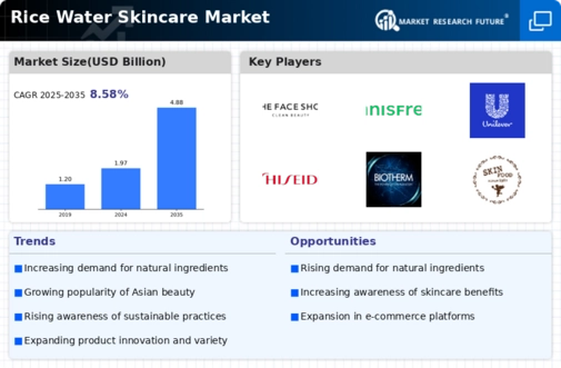 Rice Water Skincare Market Infographic