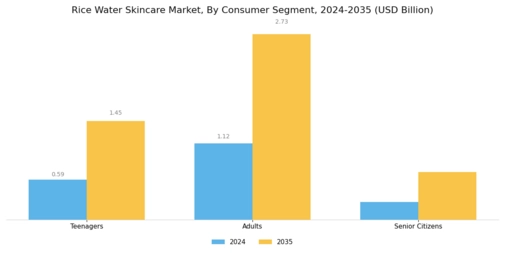 Rice Water Skincare Market Segment Image 3