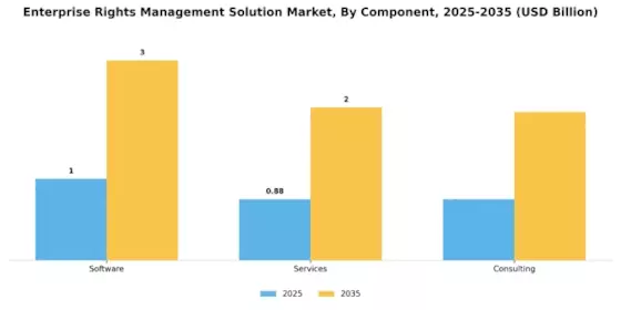 Enterprise Rights Management Solution Market Segment Image 1
