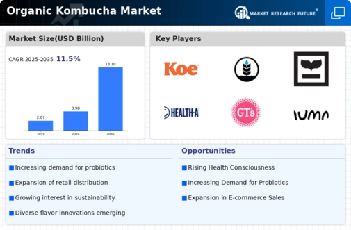 Organic Kombucha Market
 Infographic