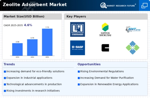 Zeolite Adsorbent Market Infographic