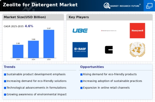 Zeolite for Detergent Market Infographic