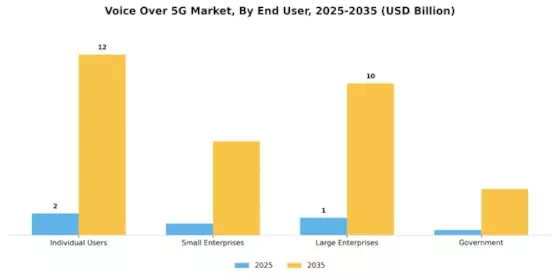 Voice Over 5G Market Segment Image 2