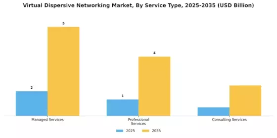 Virtual Dispersive Networking Market Segment Image 2