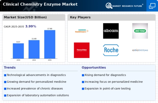 Clinical Chemistry Enzyme Market Infographic