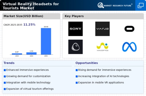 Virtual Reality Headsets for Tourists Market Infographic