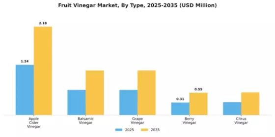 Fruit Vinegar Market Segment Image 4