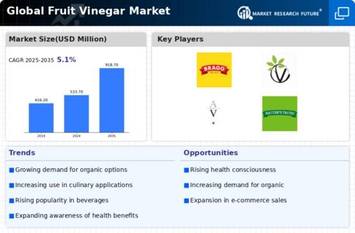Fruit Vinegar Market Infographic
