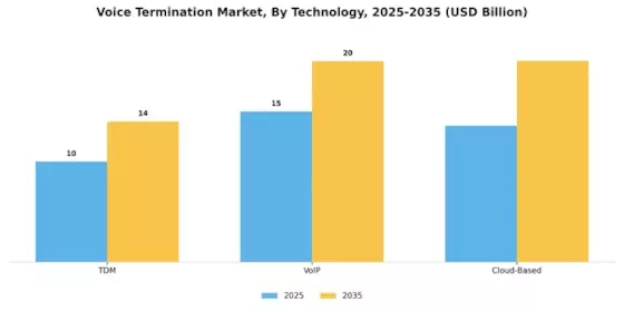 Voice Termination Market Segment Image 0