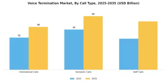 Voice Termination Market Segment Image 3