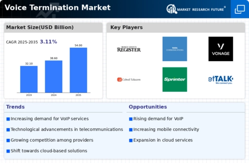Voice Termination Market Infographic