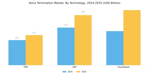 Voice Termination Market Segment Image 0