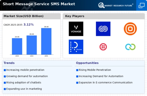 Short Message Service SMS Market Infographic