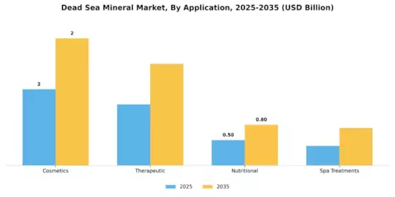 Dead Sea Mineral Market Segment Image 1