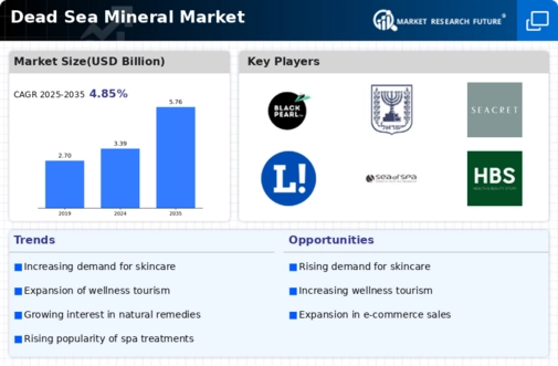 Dead Sea Mineral Market Infographic