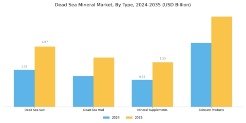 Dead Sea Mineral Market Segment Image 0