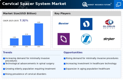 Cervical Spacer System Market Infographic