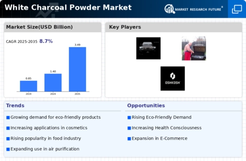 White Charcoal Powder Market Infographic