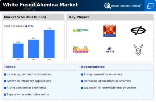 White Fused Alumina Market Infographic