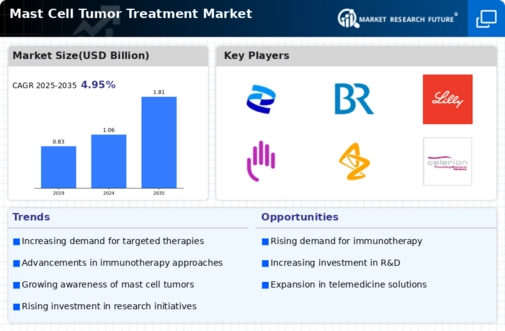 Mast Cell Tumor Treatment Market Infographic