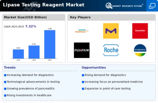 Lipase Testing Reagent Market Infographic