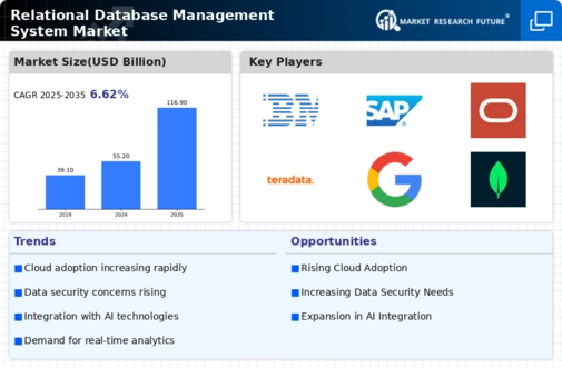 Relational Database Management System Market Infographic