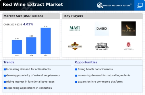 Red Wine Extract Market Infographic