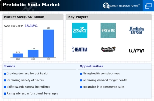 Prebiotic Soda Market Infographic