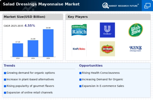  Salad Dressings Mayonnaise Market Infographic