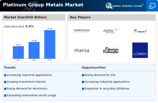 Platinum Group Metal Market Infographic