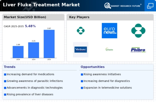 Liver Fluke Treatment Market Infographic