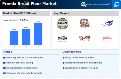 Premix Bread Flour Market Infographic
