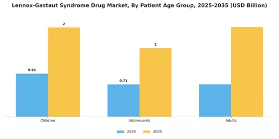 Lennox Gastaut Syndrome Drug Market Segment Image 2