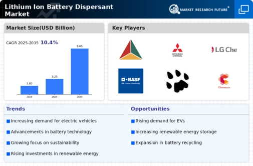 Lithium Ion Battery Dispersant Market Infographic