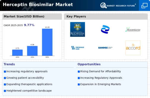 Herceptin Biosimilar Market Infographic
