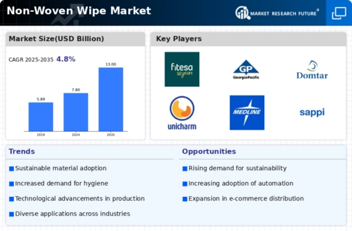 Non Woven Wipe Market Infographic