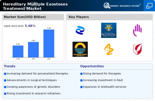 Hereditary Multiple Exostoses Treatment Market Infographic