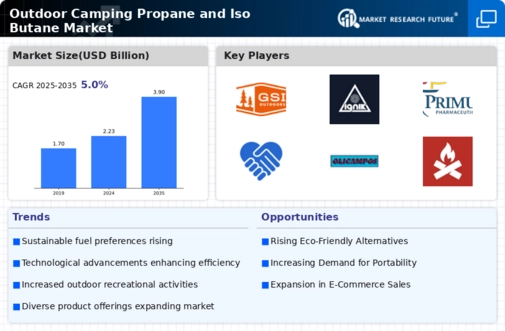 Outdoor Camping Propane Iso Butane Market Infographic