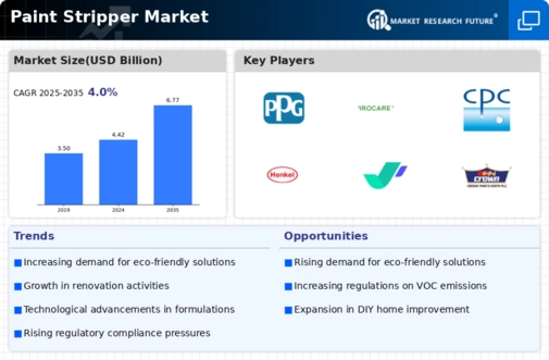 Paint Stripper Market Infographic