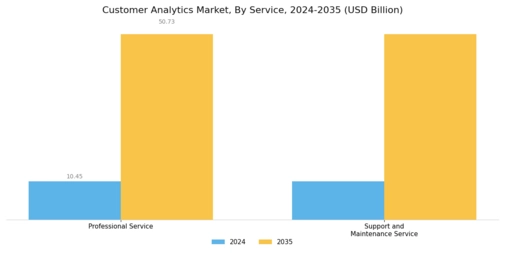 Customer Analytics Market Segment Image 1