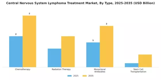 Central Nervous System Lymphoma Treatment Market Segment Image 0