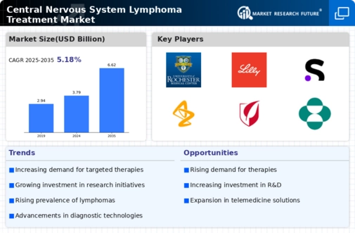 Central Nervous System Lymphoma Treatment Market Infographic