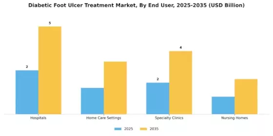 Diabetic Foot Ulcer Treatment Market Segment Image 2