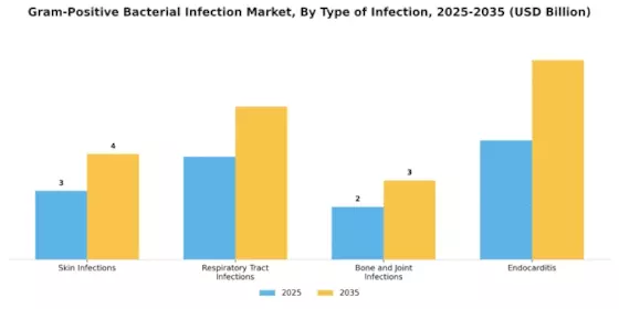 Gram Positive Bacterial Infection Market Segment Image 0